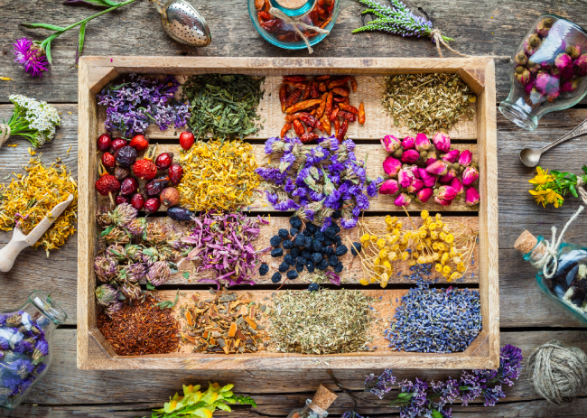 5 Lesser-Known Plants Used in Herbal Medicine