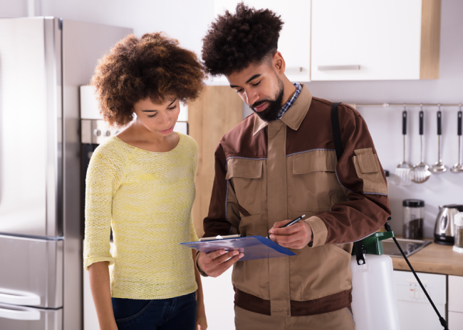 5 Easy Things You Can Do in Your Kitchen to Keep Pests Out
