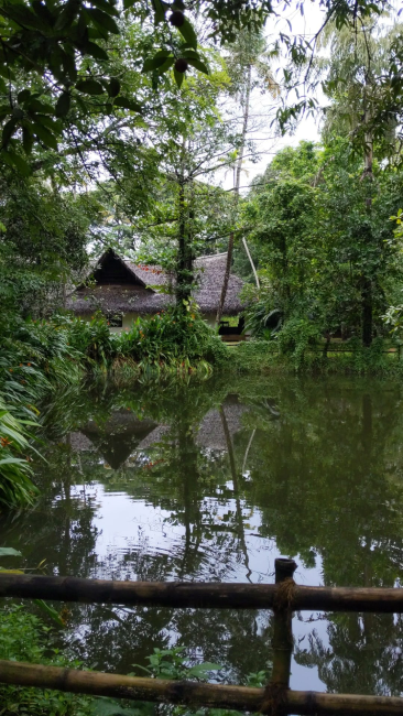 Marari Beach Resort Nature