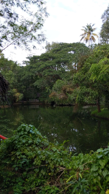 Marari Beach Resort View
