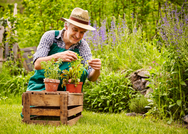 How Gardens Affect Your Health, Home & Home Insurance