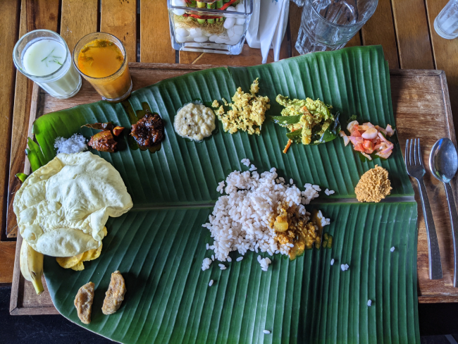 Lunch at Rainforest Athirapally