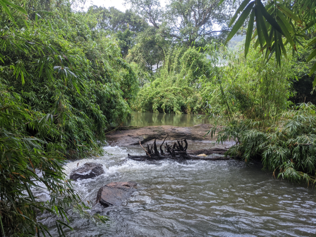 Waterfall hopping in Athirapally, Kerala