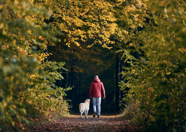 Nature Walk