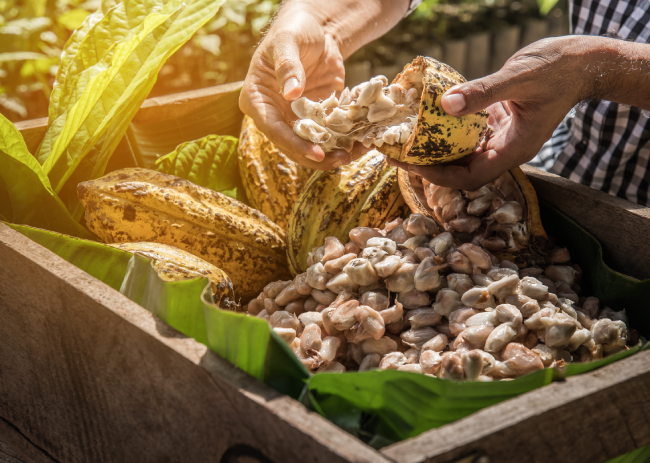 5 Factors to Consider When Choosing a Supplier in the Food Industry